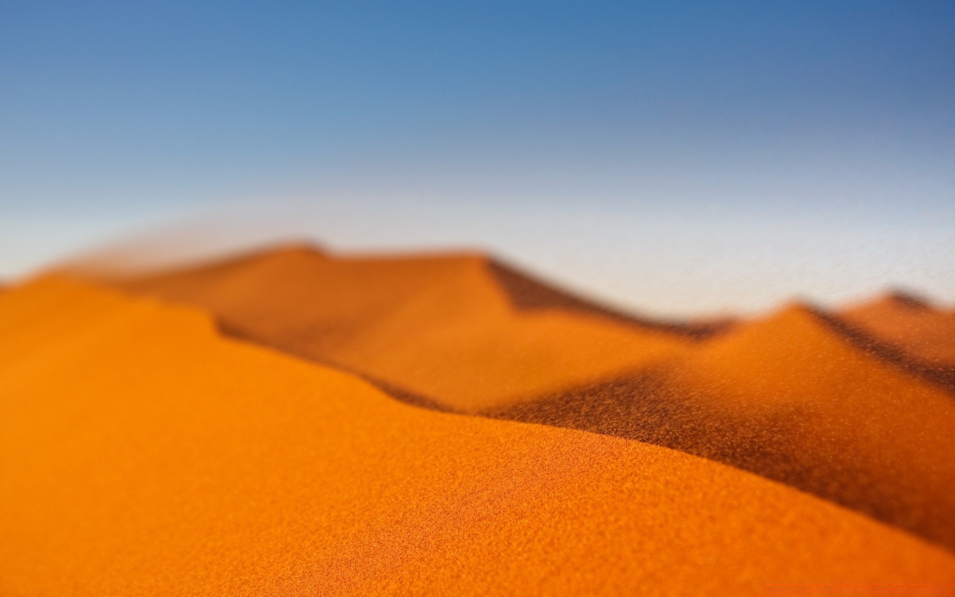 deserto areia viajar praia quente seco duna pôr do sol estéril luz do dia arid