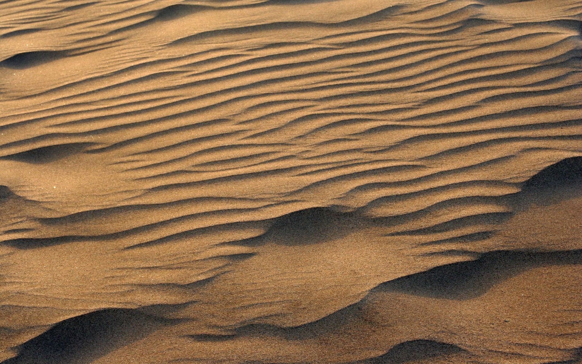 deserto areia aride estéril duna seco textura aventura padrão praia mar sede pegada ondulação um