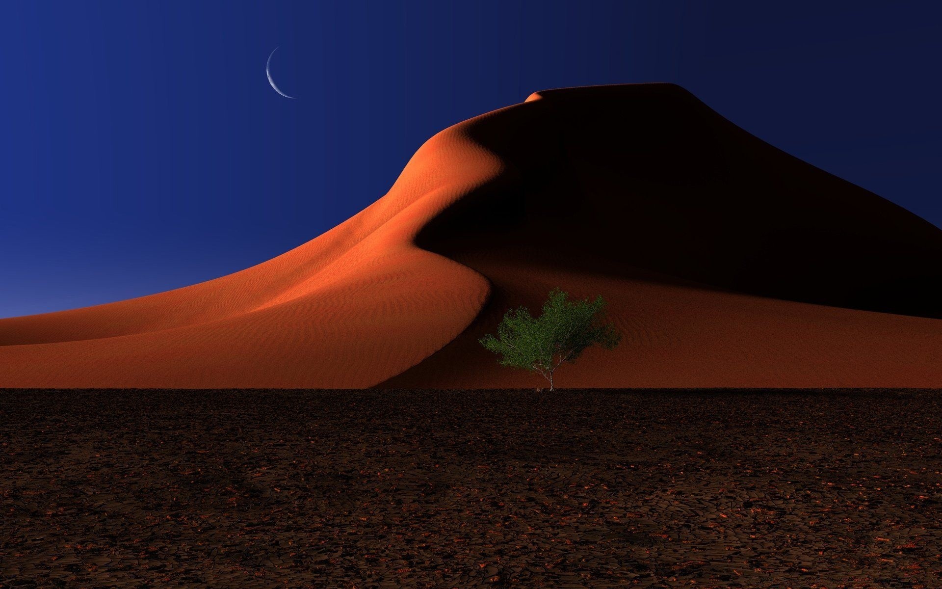 desert sand beach landscape travel sunset daylight seashore arid sky barren ocean hot shadow dry sea