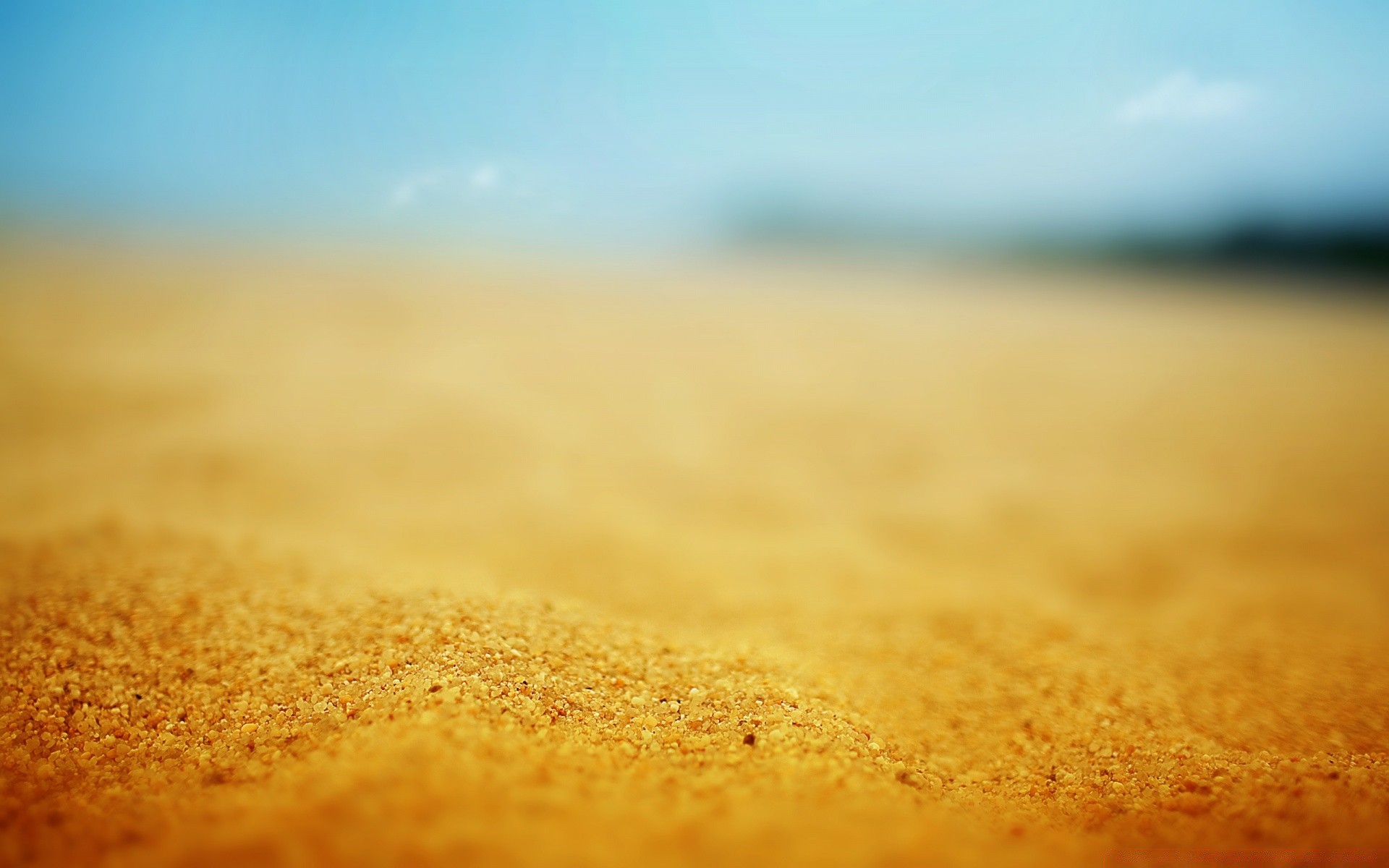 deserto alba tramonto sfocatura sole sabbia natura caldo bel tempo all aperto cielo