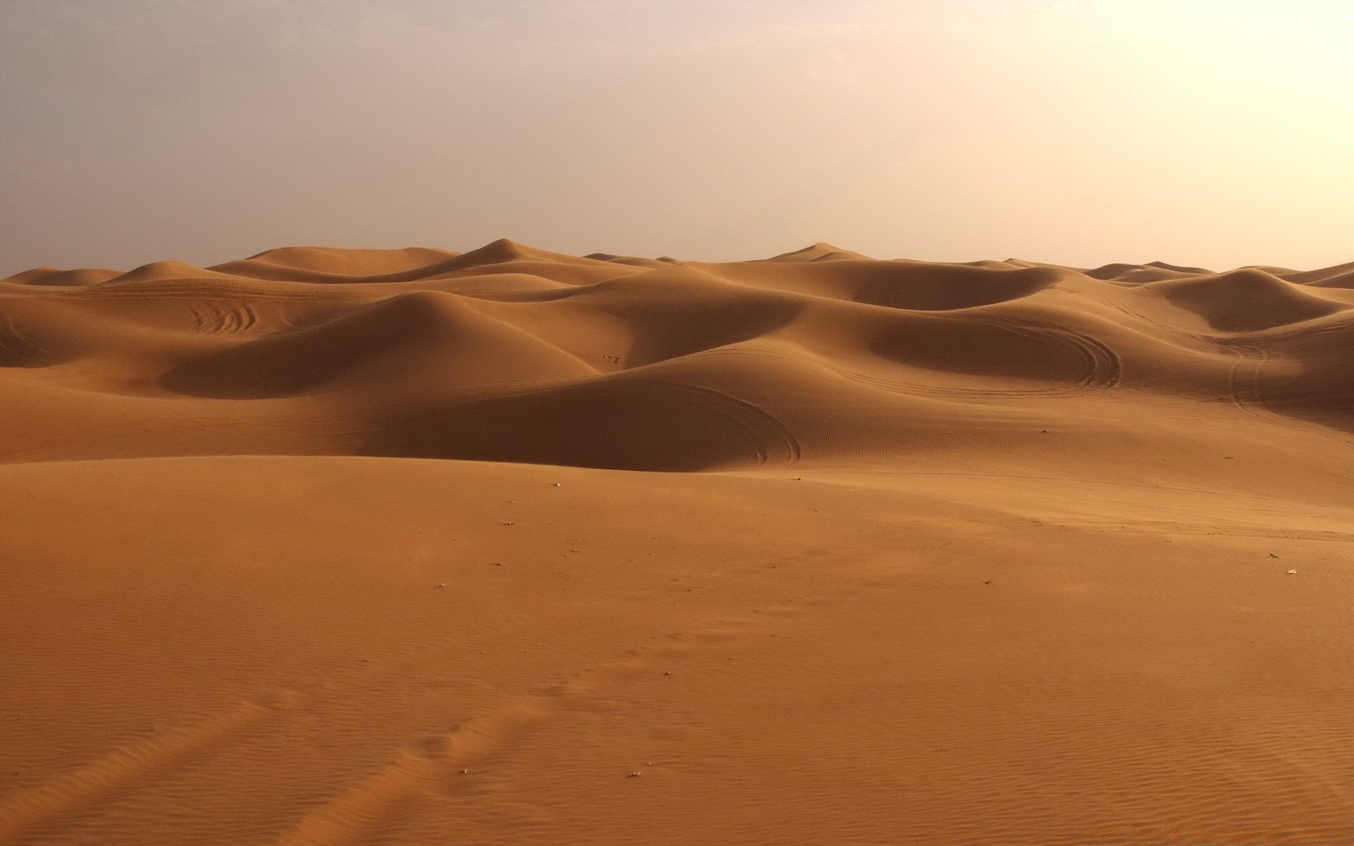 الصحراء الرمال الكثبان الرملية القاحلة القاحلة الساخنة المناظر الطبيعية الشمس وحدها الجافة غروب الشمس الفجر المغامرة الشاطئ درب السفر الوحدة الجفاف