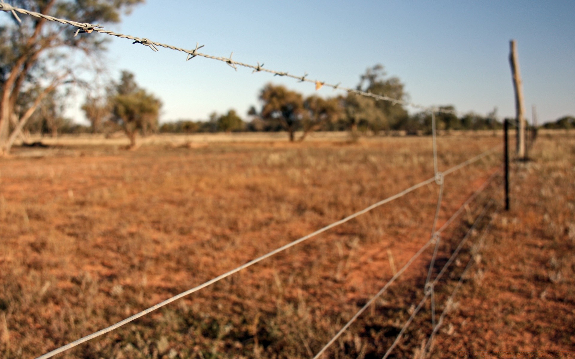 deserto agricultura ao ar livre fazenda campo natureza solo cerca paisagem árvore céu grama seca colheita ambiente indústria flora