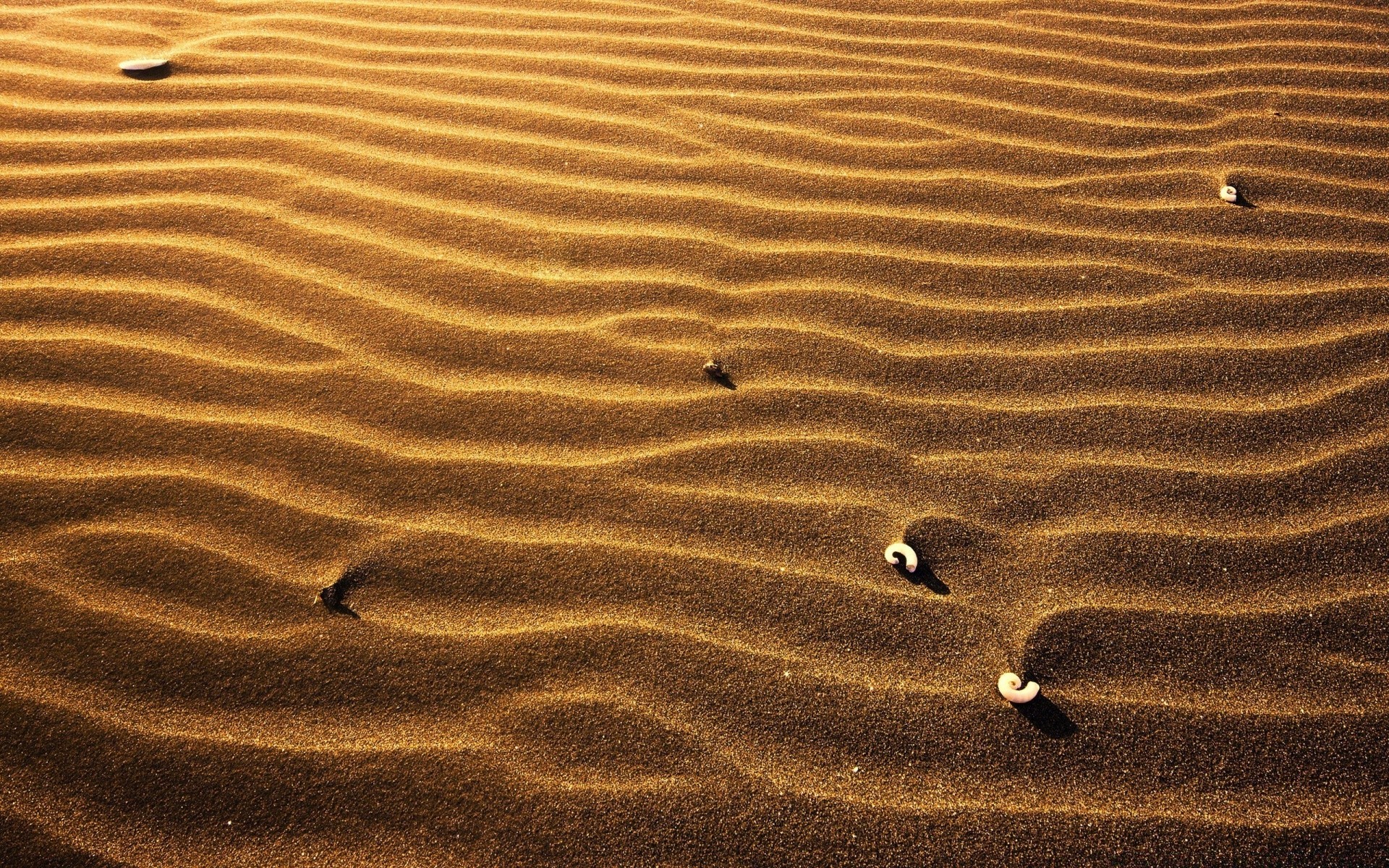 wüste sand strand fußabdruck unfruchtbar meer trittbrett eine abenteuer aride düne textur muster welligkeit natur einsamkeit schatten reisen