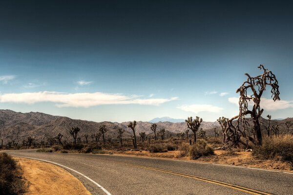 Strada in viaggio nel deserto