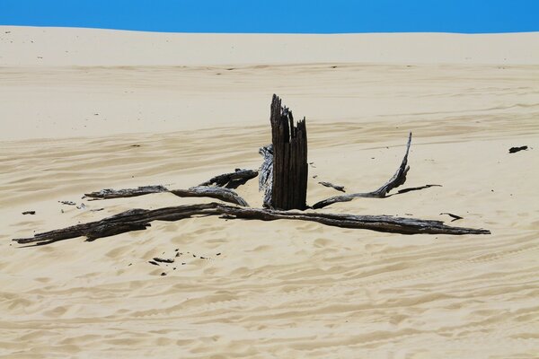 Paysage de désert de sable, plage