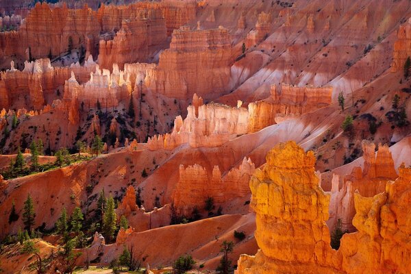 Viaje por el cañón en el árido desierto