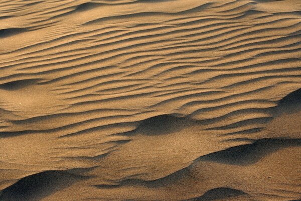 Duna de areia em um deserto árido