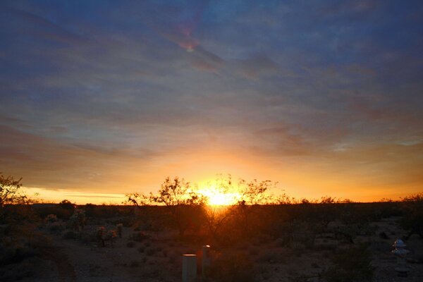 Evening desert sunset