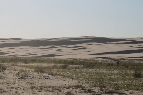 Landscape desert sand travel