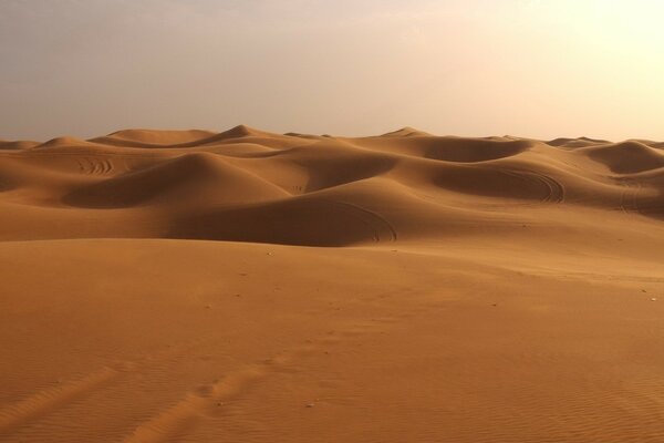 Areias douradas do deserto, dunas