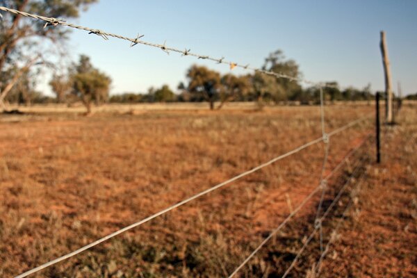 Campo al aire libre de la granja