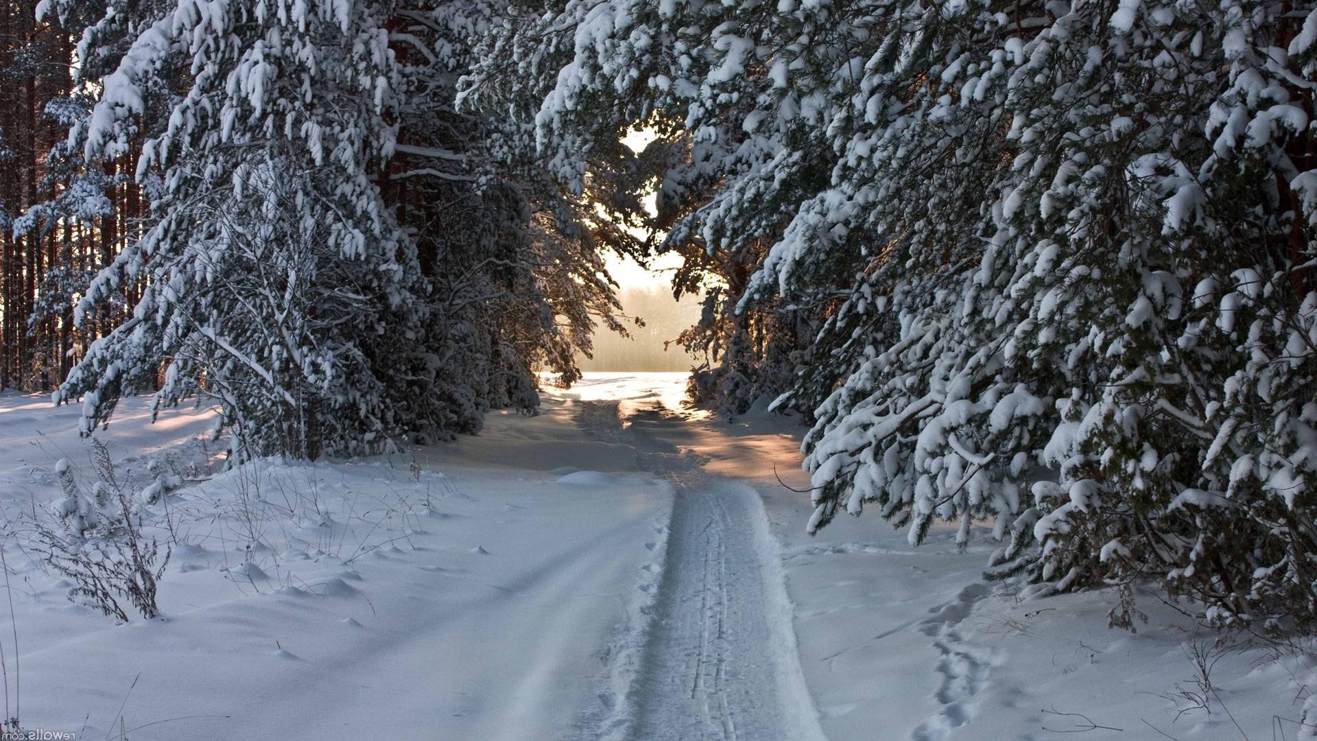 route hiver neige gel froid congelé météo glace saison bois bois paysage tempête de neige neigeux givré scénique guide neige-blanc piste