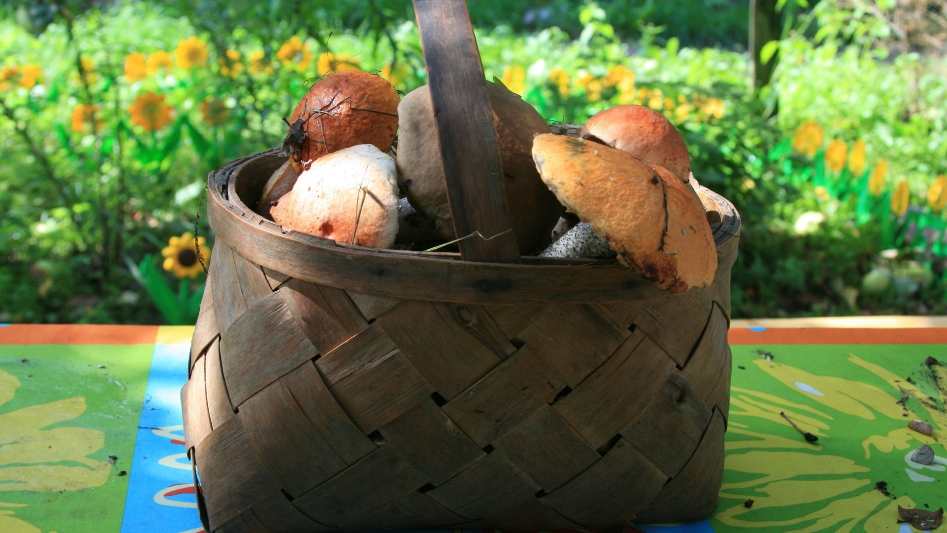 essen & trinken holz natur essen im freien holz ein blatt sommer