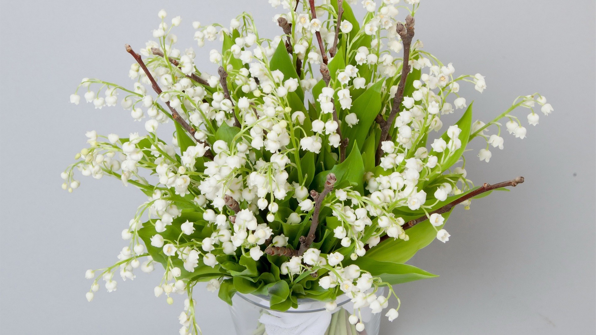 çiçek buketi çiçek doğa flora yaprak buket küme çiçek çiçeklenme sezon taçyaprağı yaz dekorasyon parlak büyüme kabuk dostum vazo bahçe yakın çekim