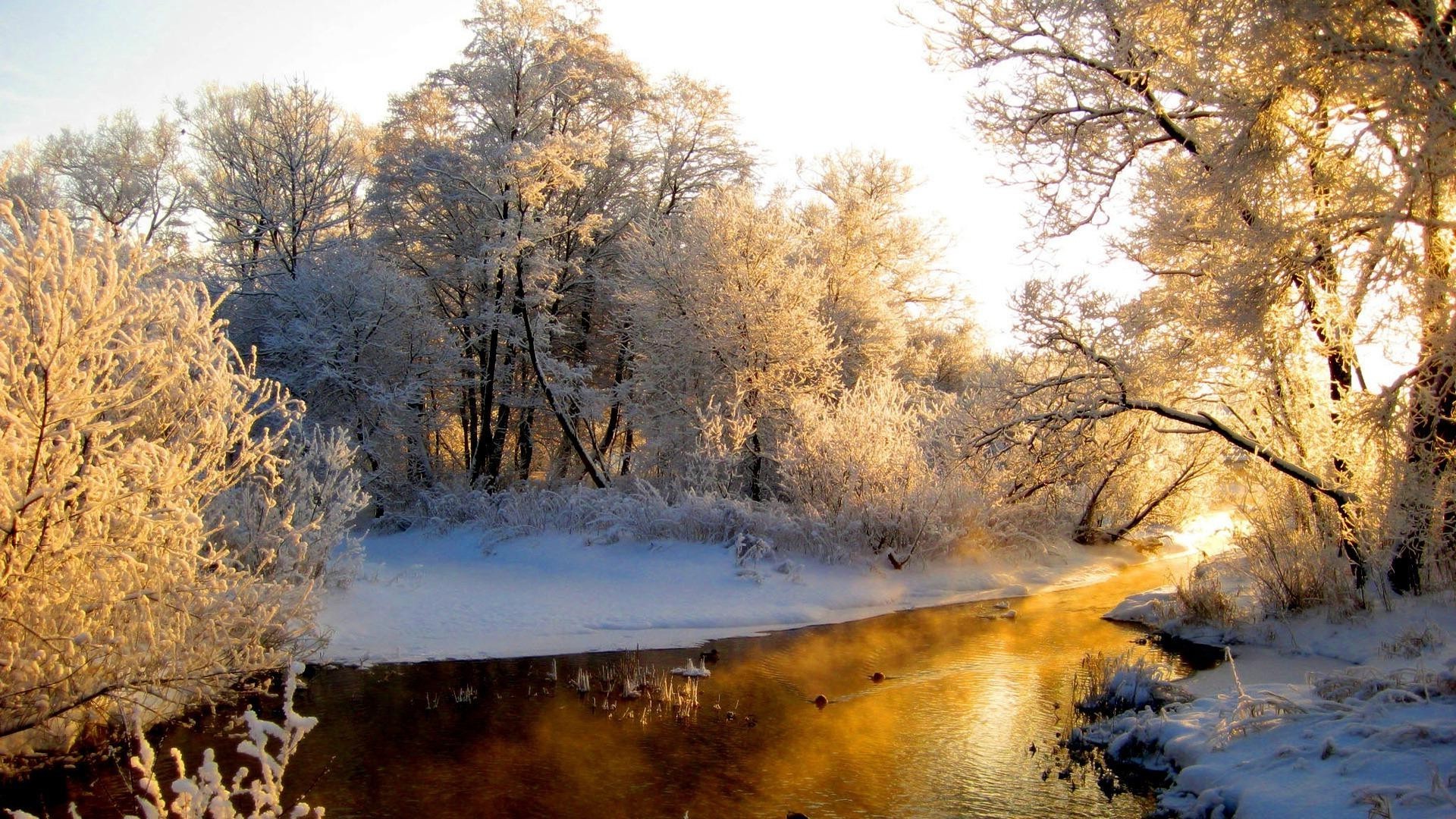 ríos estanques y arroyos estanques y arroyos paisaje naturaleza madera árbol invierno nieve al aire libre frío pintoresco parque otoño agua temporada niebla buen tiempo heladas medio ambiente viajes