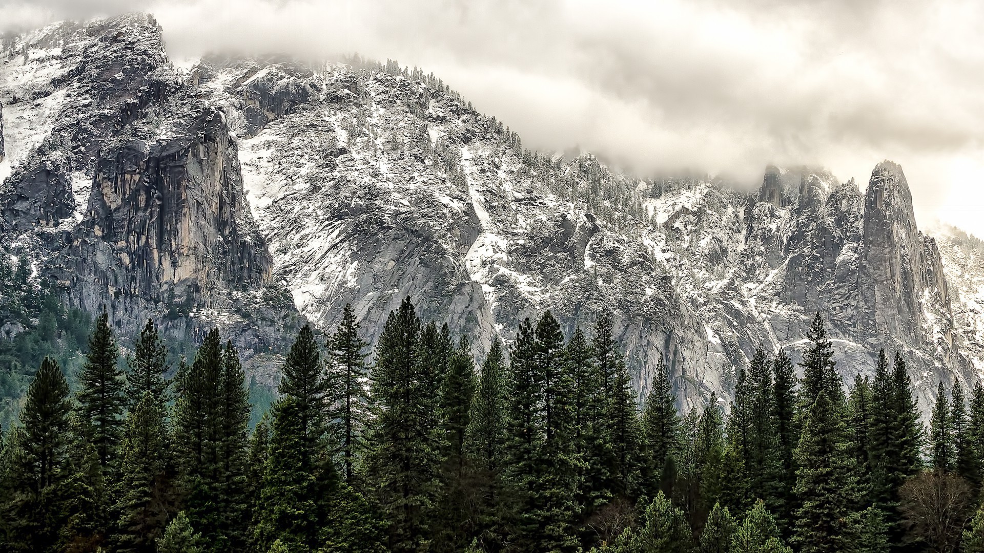 forest snow mountain wood nature landscape winter conifer evergreen tree outdoors travel mountain peak sky scenic cold fog ice high wild