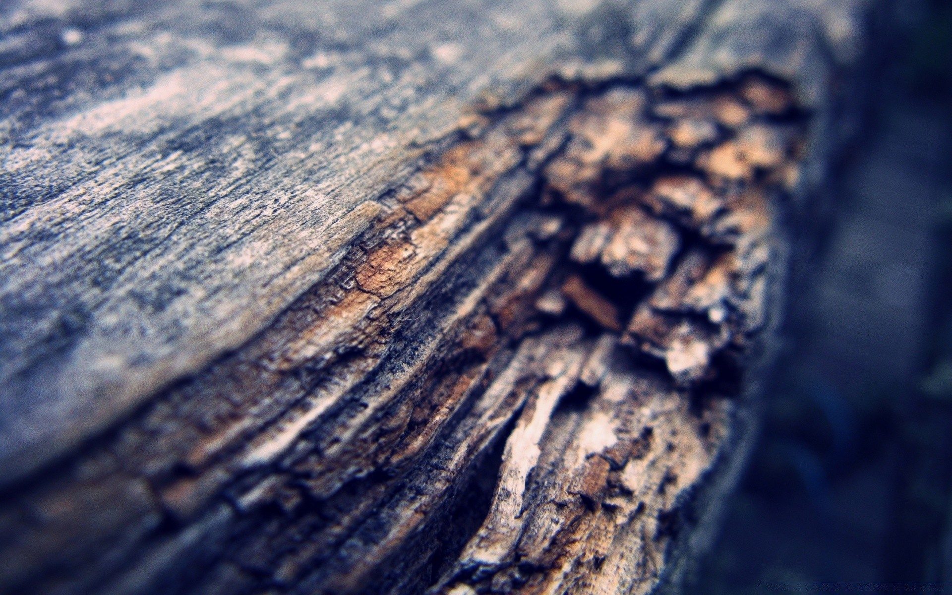 macro naturaleza escritorio textura al aire libre abstracto agua viajes sucio áspero primer plano viejo