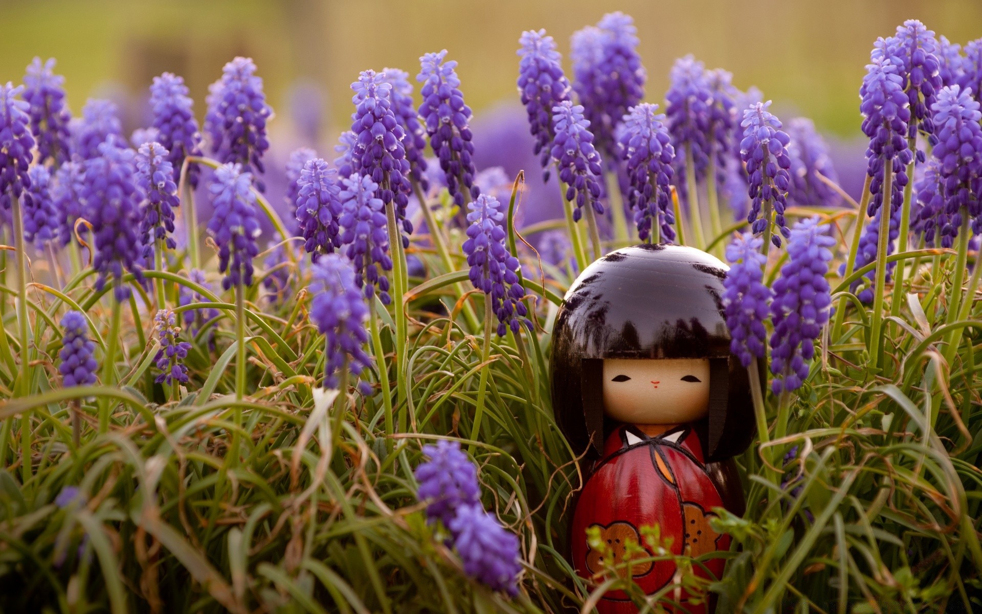 macro flower nature flora outdoors grass field easter garden color little season hayfield summer blooming