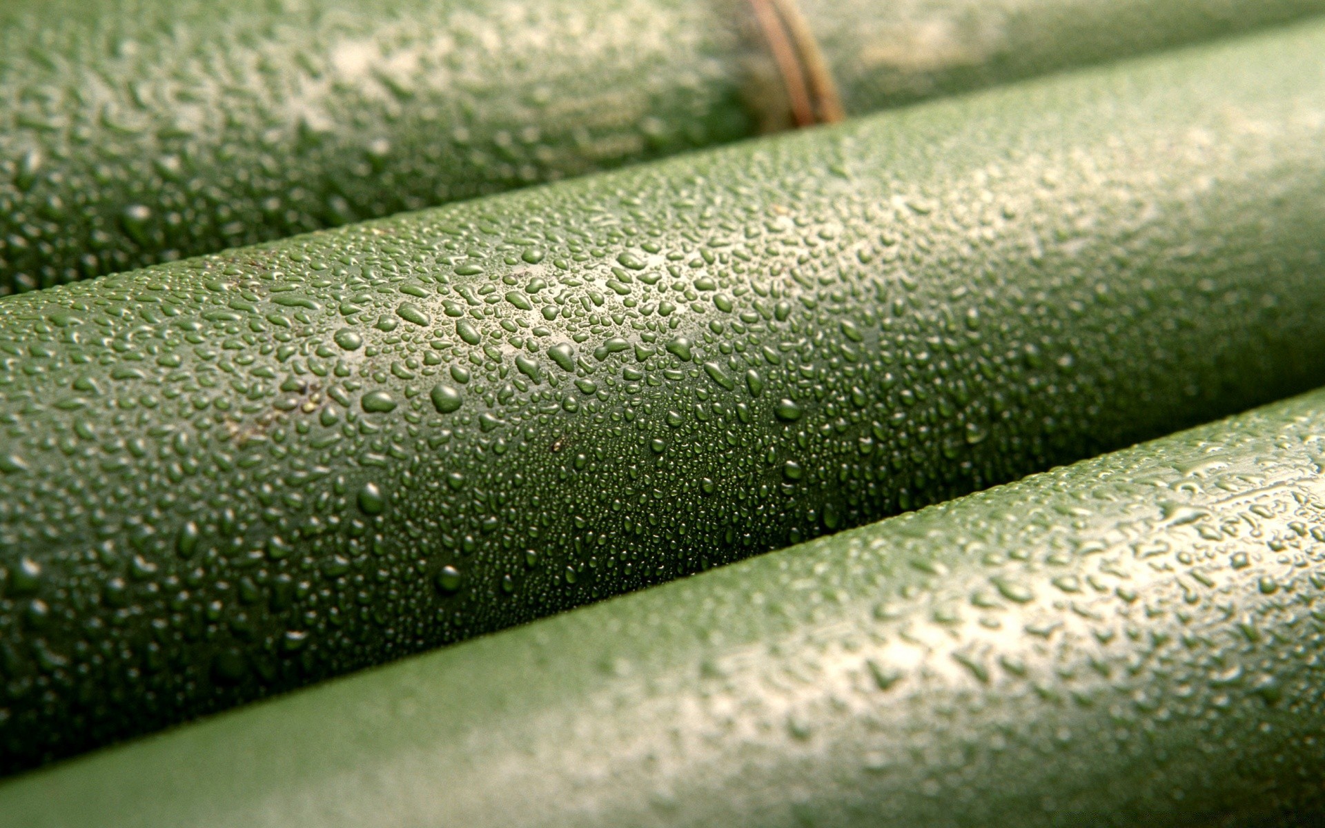 macro bureau résumé texture gros plan modèle couleur