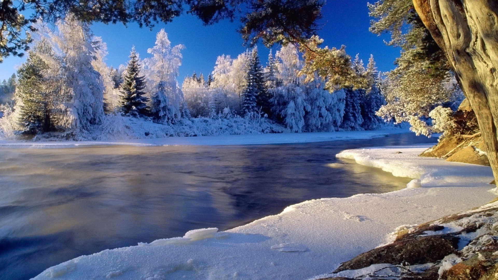 winter schnee kälte holz eis landschaft landschaftlich natur frost baum berge im freien gefroren wasser gutes wetter