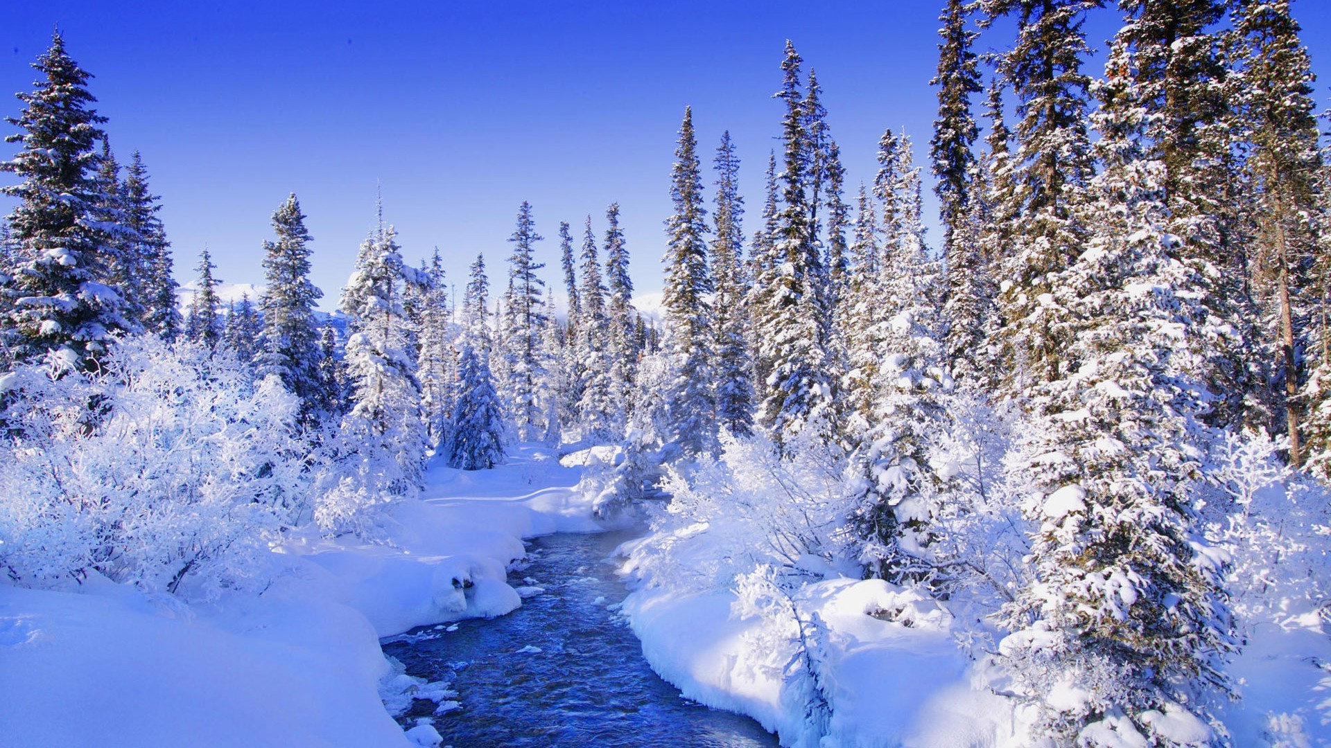 fiumi stagni e torrenti stagni e torrenti neve inverno freddo gelo legno ghiaccio scenico montagna congelato paesaggio stagione albero natura bel tempo evergreen conifere tempo