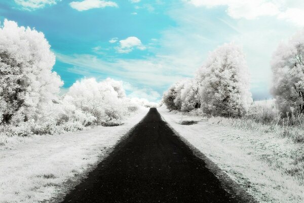 The black asphalt goes into the horizon of the snow-covered forest