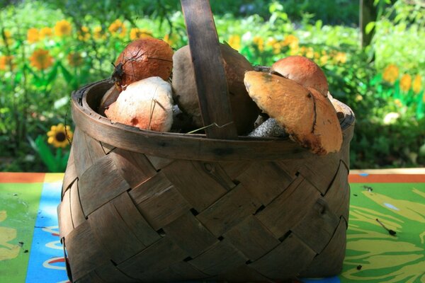 Gifts of autumn in a wicker basket