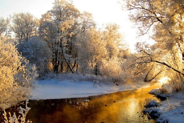 Winterlandschaft mit unauffälligem Bach