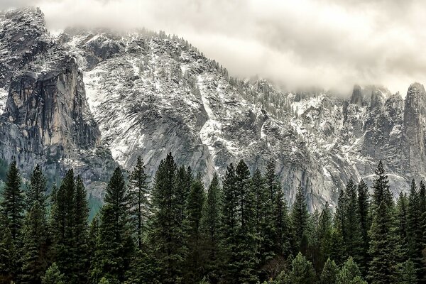 La belleza natural de las montañas nevadas y los bosques