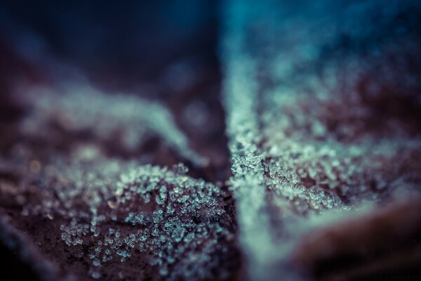 Jacket after a snowfall macro