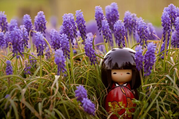 Macro photography. Doll. Nature. Flora