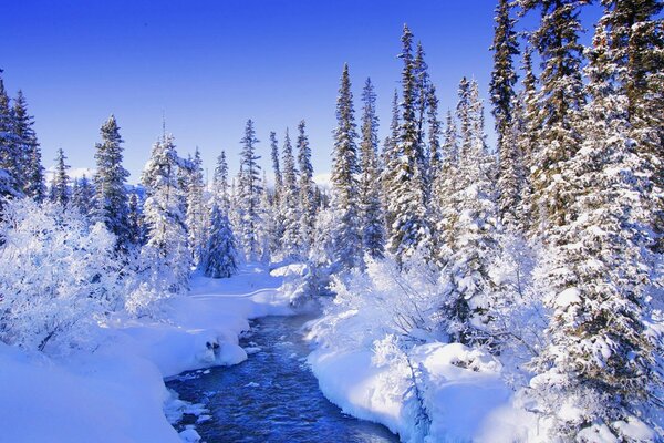 Rivers turned into streams under the snow in winter