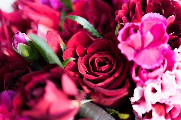 Rosa roja en un ramo de flores