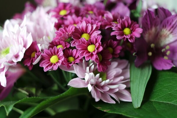 Cute bouquet of pink flowers