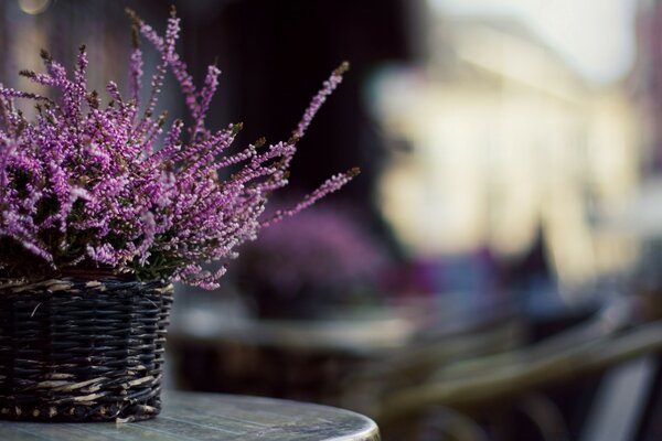 Lilac flowers in a basket on the table