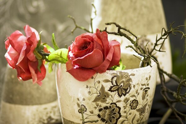 Two roses with protruding roots in a white pot with patterns