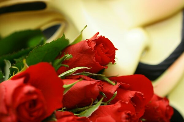 Beautiful bouquet of red roses