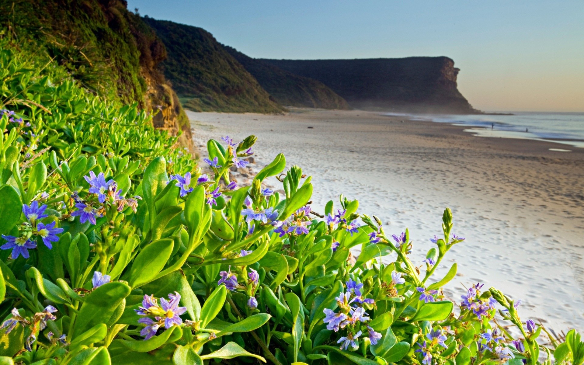 flowers nature water summer landscape outdoors flower travel flora fair weather sky seashore beautiful grass wild scenic season sun leaf sunny