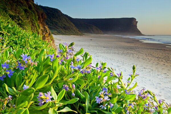 Plage du matin dans les montagnes