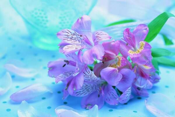 A beautiful bouquet of pink flowers around fallen petals