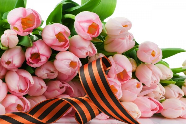 Tulipes roses pour les vacances