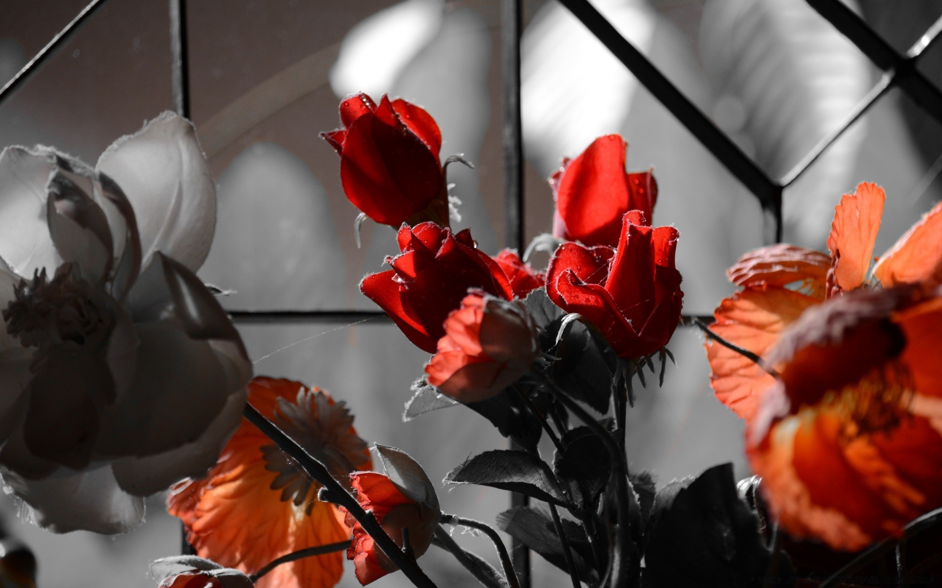 fiori foglia fiore decorazione cibo uno all aperto natura morta