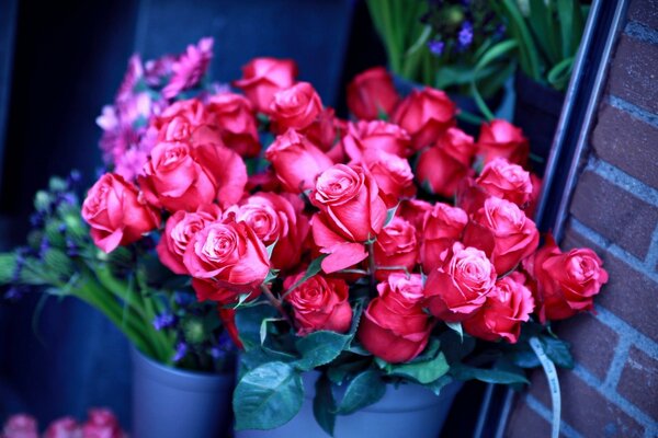 Un ramo de rosas en una maceta cerca de una pared de ladrillo