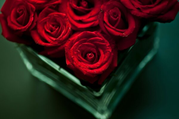 Matrimonio tra rose rosse