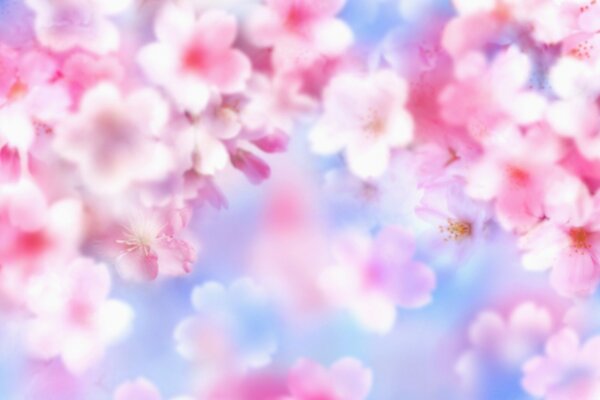 Pink blur flowers on shafts background