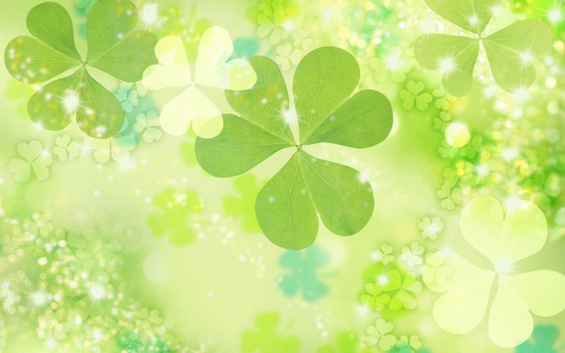 flowers clover white clover desktop leaf abstract lucky blur luck bright shining flora lush design saint background texture celtic nature decoration wallpaper