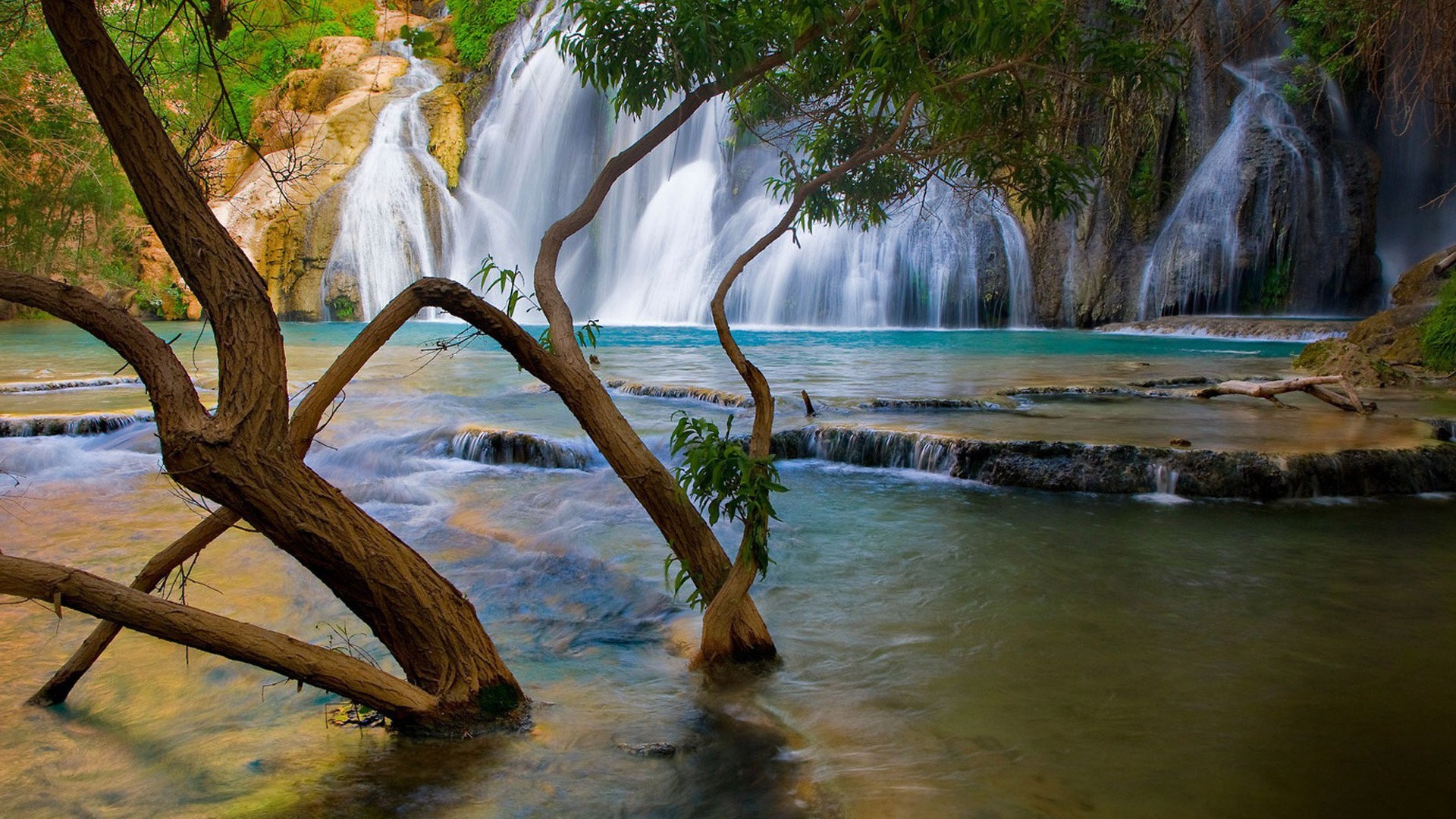 cascades eau cascade bois nature bois rivière voyage paysage tropical flux feuille rock à l extérieur automne humide belle