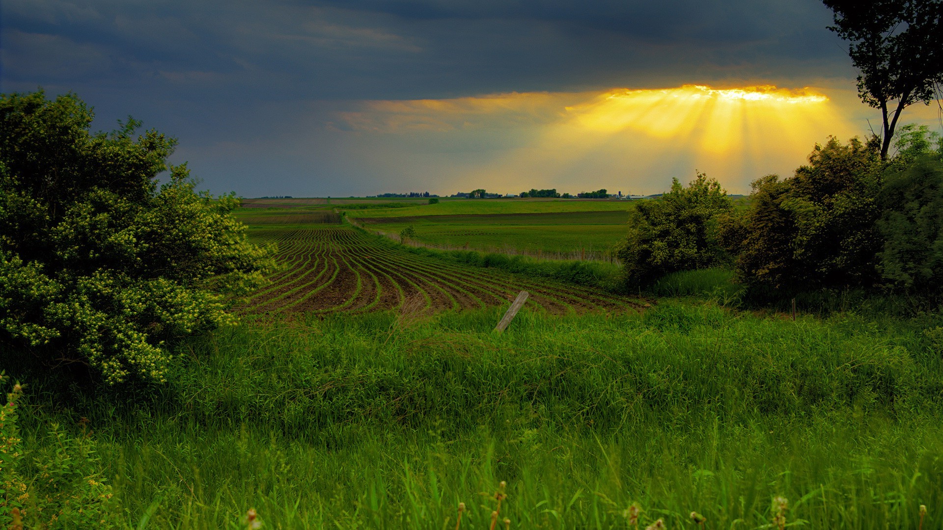 wiosna rolnictwo krajobraz ziemia uprawna wiejski natura wieś pole na zewnątrz ryż gospodarstwo trawa świt wzrost lato ziemia uprawna niebo drzewo pastwisko żniwa