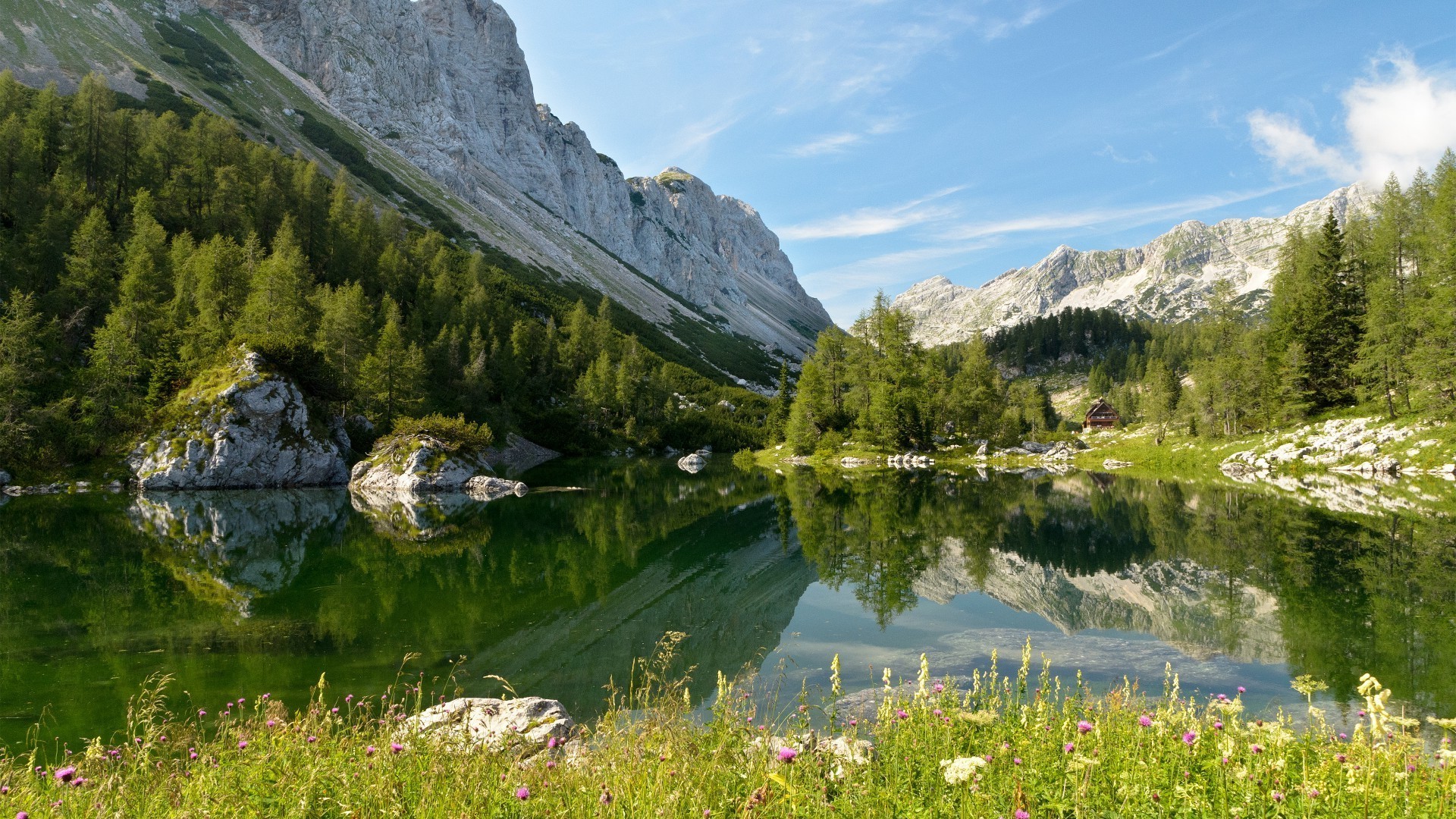 lago natura acqua paesaggio montagna all aperto viaggi estate scenico legno cielo riflessione fiume erba paesaggio valle roccia albero vista