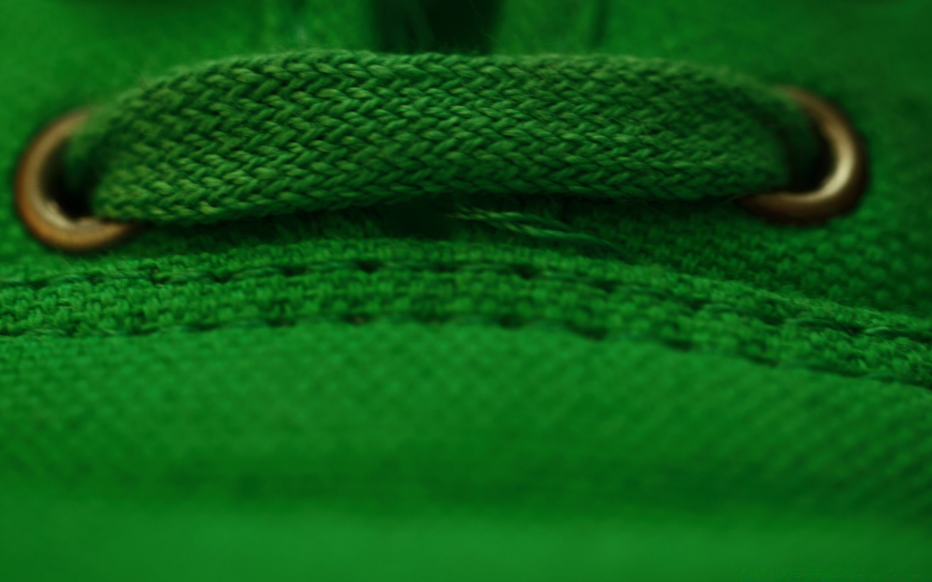 macro serpent bureau gazebo nature modèle couleur texture gros plan résumé python copie viper